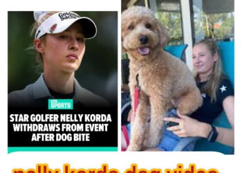 nelly korda dog video