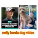 nelly korda dog video