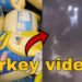 butterball turkey video