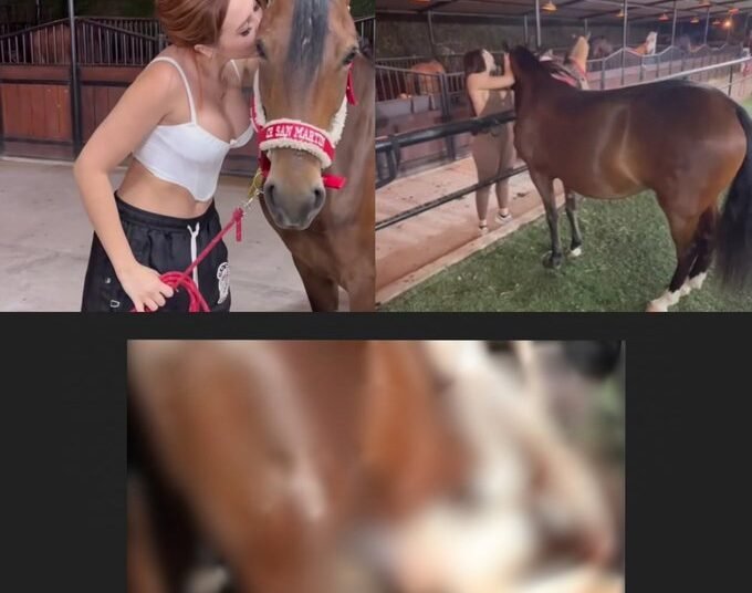 aida victoria merlano