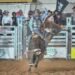 Dylan Grant Young bull rider trampled to death while competing in Texas
