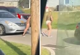 delco pooper video