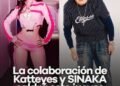 vídeo de sinaka