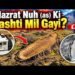 NEW DISCOVERY: Major updates on the search for Hazrat Nuh’s  Türkiye!